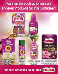 4062700873021-5.jpg 4062700873021-5.jpg