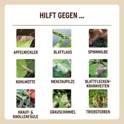 4062700630587-6.jpg 4062700630587-6.jpg