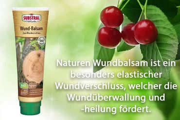 Substral Naturen Bio Wundbalsam, Wundverschlussmittel 350 g
