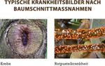 4062700830185-4.jpg