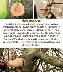 4062700830185-3.jpg 4062700830185-3.jpg