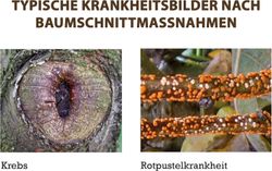 4062700830185-4.jpg 4062700830185-4.jpg