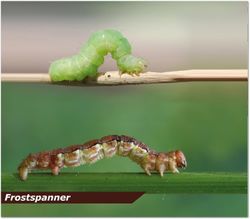 4062700832677-4.jpg 4062700832677-4.jpg