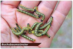 4062700832677-6.jpg 4062700832677-6.jpg