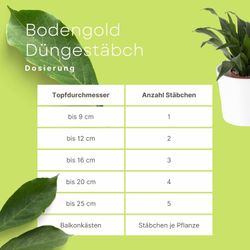 4027892150596-2.jpg 4027892150596-2.jpg