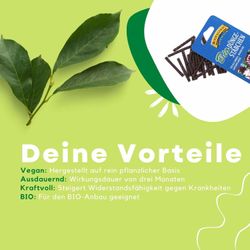 4027892150596-3.jpg 4027892150596-3.jpg