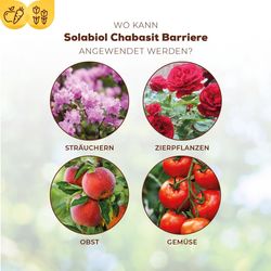 3664715067405-3.jpg 3664715067405-3.jpg