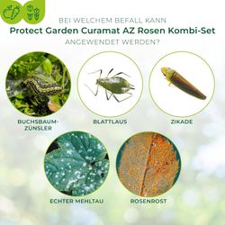 3664715066651-4.jpg 3664715066651-4.jpg