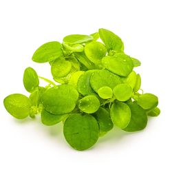 426061473288-1.jpg 426061473288-1.jpg