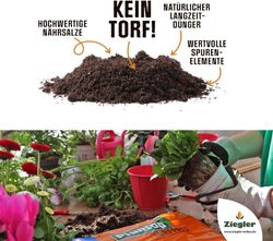 4027892860624-2.jpg 4027892860624-2.jpg