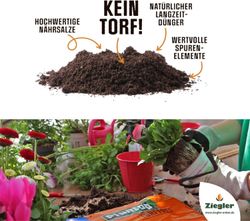 4027892860587-2.jpg 4027892860587-2.jpg