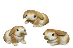 828613.jpg 828613.jpg