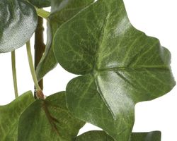 8718533593785-2.jpg 8718533593785-2.jpg