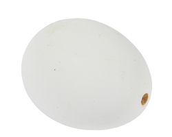 8717427408297-2.jpg 8717427408297-2.jpg