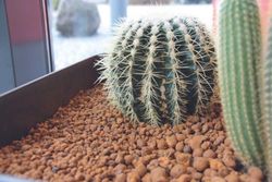 4251234601655-2.jpg 4251234601655-2.jpg