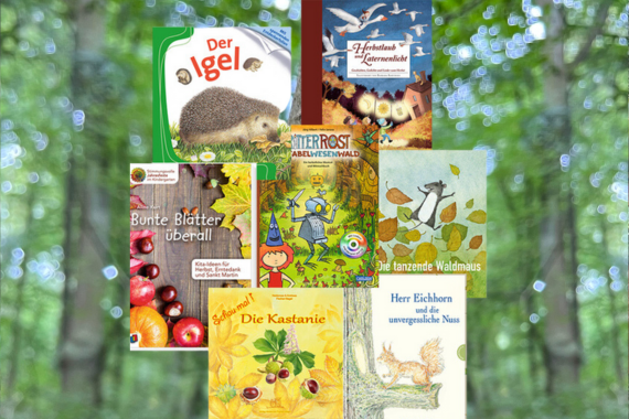 Eine Collage aus mehreren Büchern zum Thema Wald und Herbst. Im Hintergrund sieht man einen Wald.