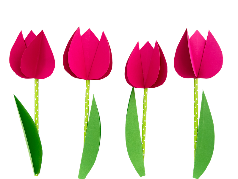 Tulpe Basteln Vorlage
