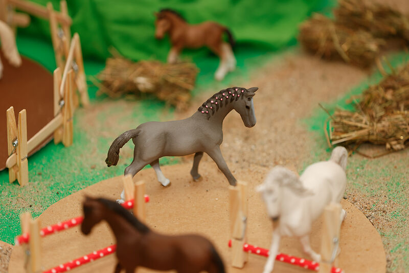 Schleich Pferde-Set, 8-teilig | Zwergentrume
