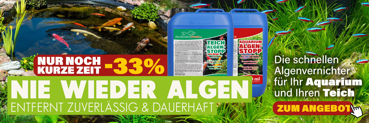 Algenvernichter