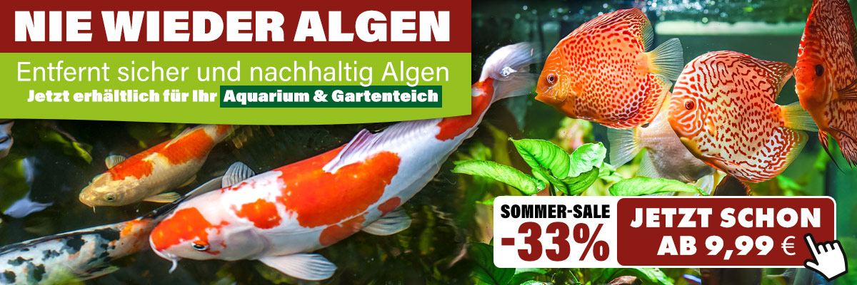 Algenvernichter