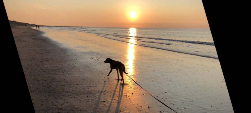 Tierschutzhund: Fremde Urlaubswelten für Piccolo