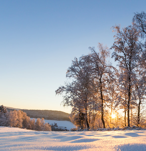 Schneeschuhe