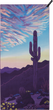 Desert Aire