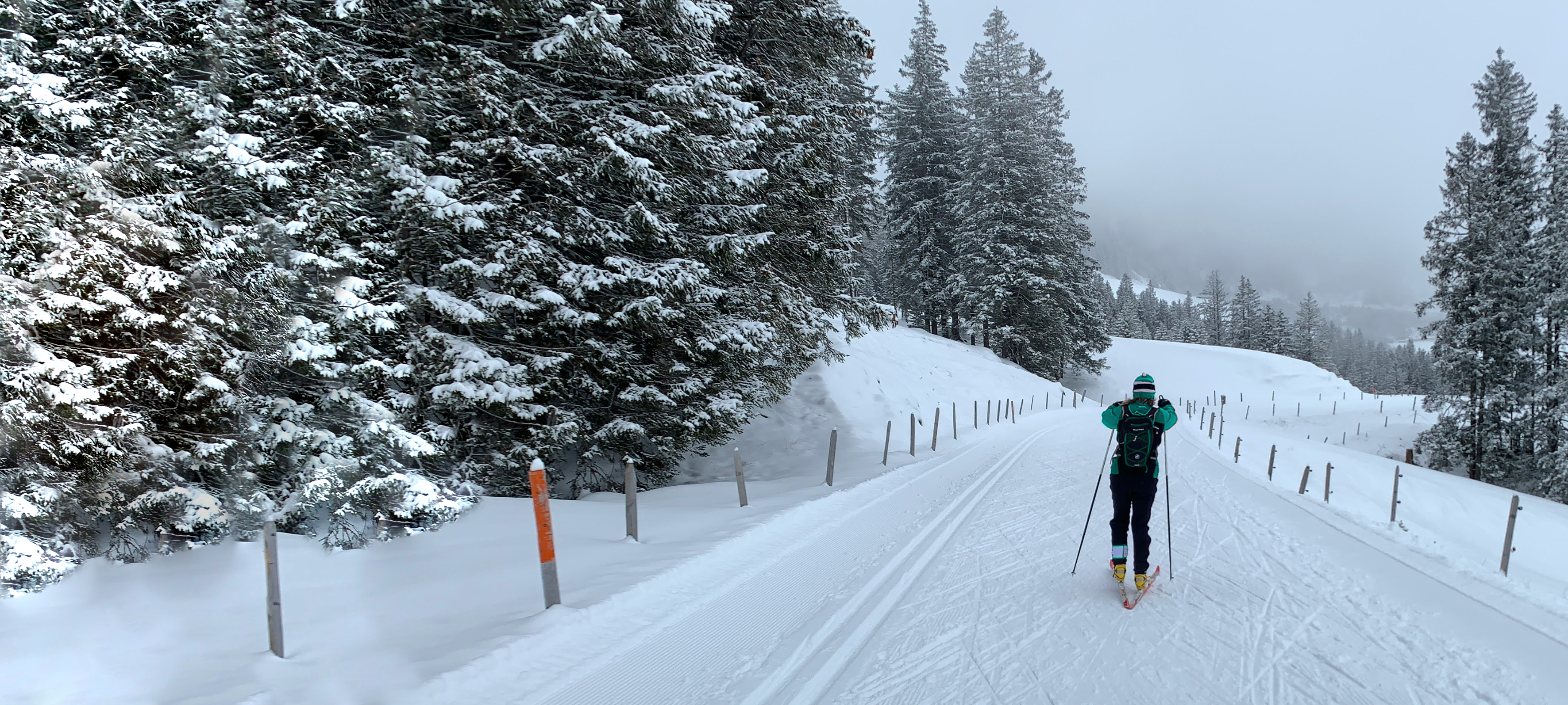 Entdecke NORDIC SPORTS, WINTERSPORT UND OUTDOOR