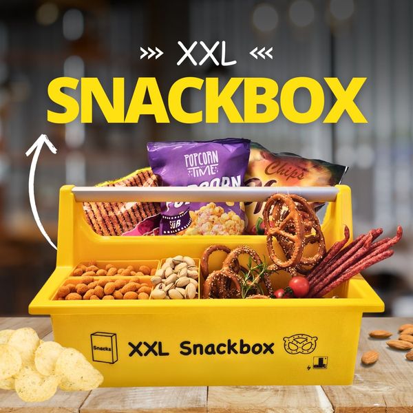 Allit Tragekasten | Werkzeugkiste McPlus Carry 40 "Snackbox"