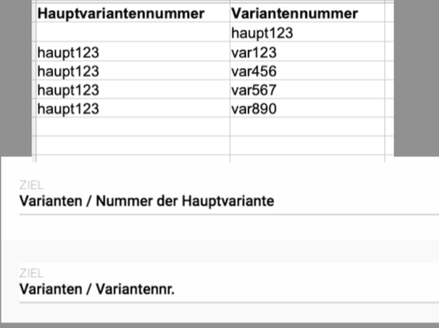 haupt und variantennummer