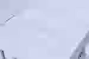 MY-YARD-FORMART-SE-31862-2.jpeg
