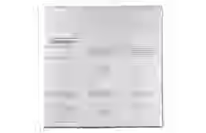 Mayku-FormBox-Transparente-Blaetter-1-0mm--20er-Pack--25052-1.png