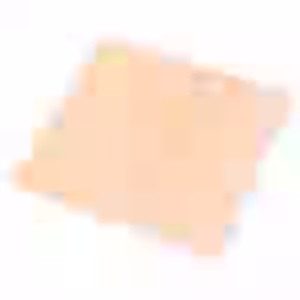 Snapmaker-Blank-Wood-Squares--10-Pack--33001-26368-1.jpg