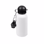 WBO-500-W-01.jpg