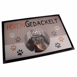 DMN-5-60-02.jpg DMN-5-60-02.jpg