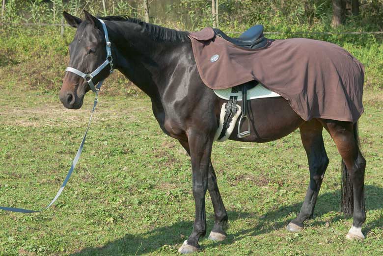 Ausreitdecke Fleece