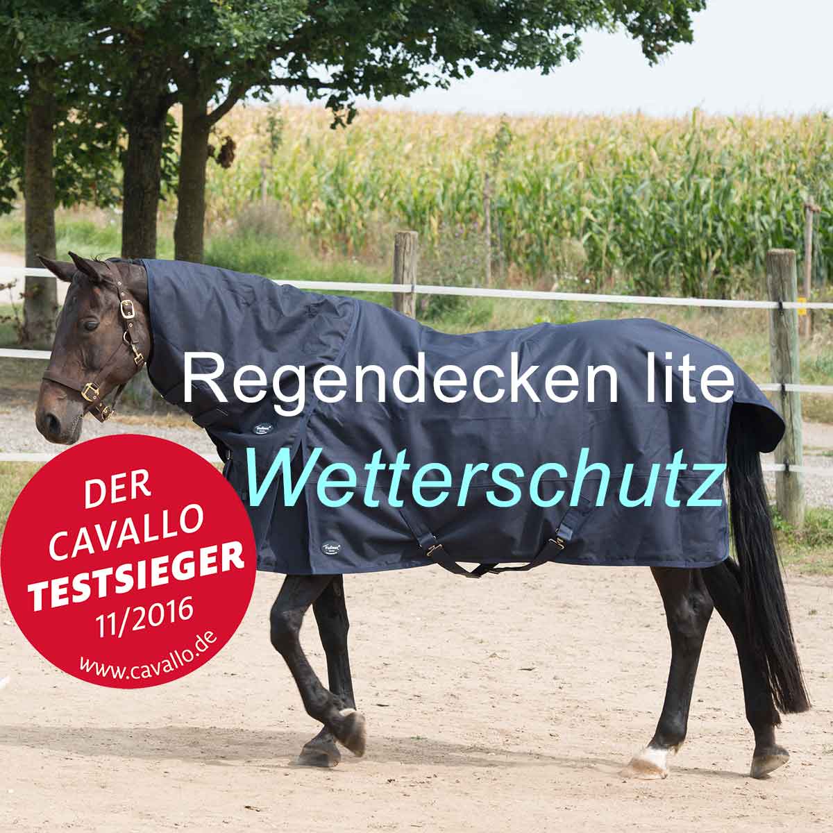 Regendecken lite