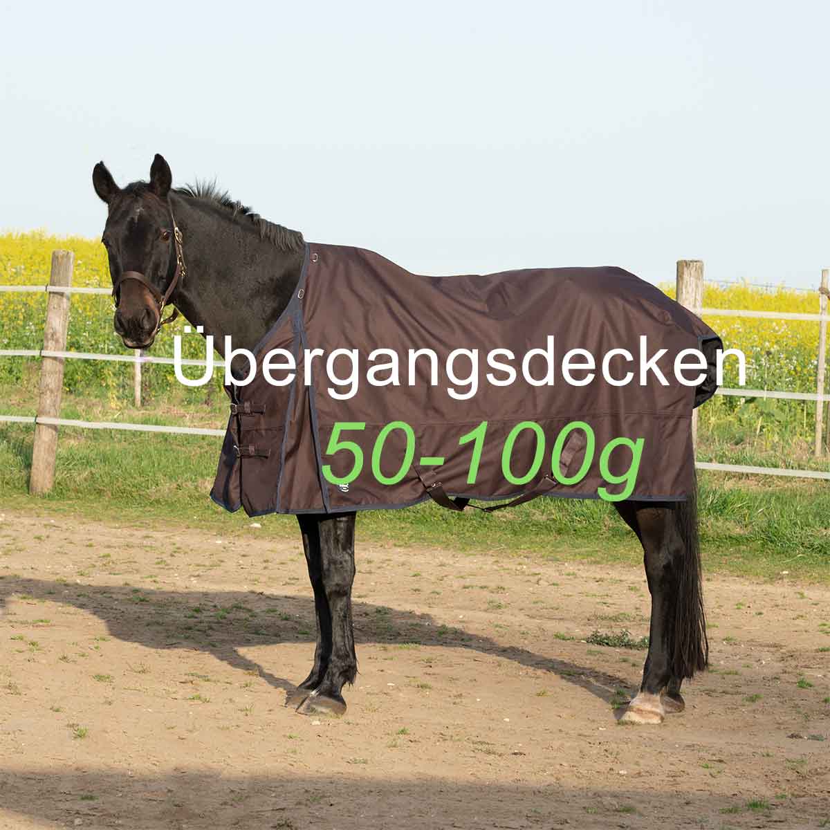 Regendecken 50-100g