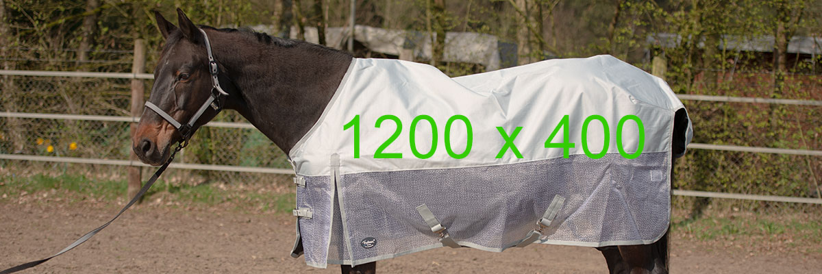 Stalldecke | Welche sind besonders geeignet? | Ceres Webshop