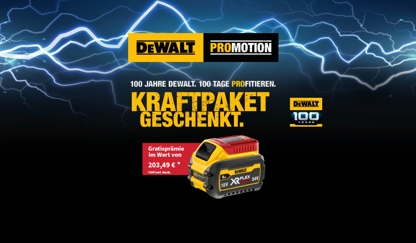 Dewalt Kraftpaket Aktion