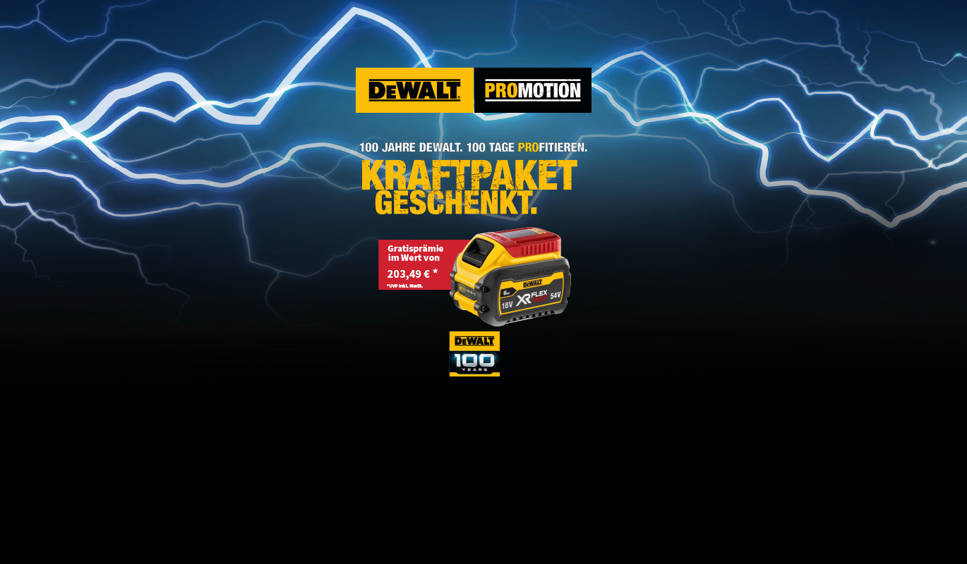 Dewalt Kraftpaket Aktion