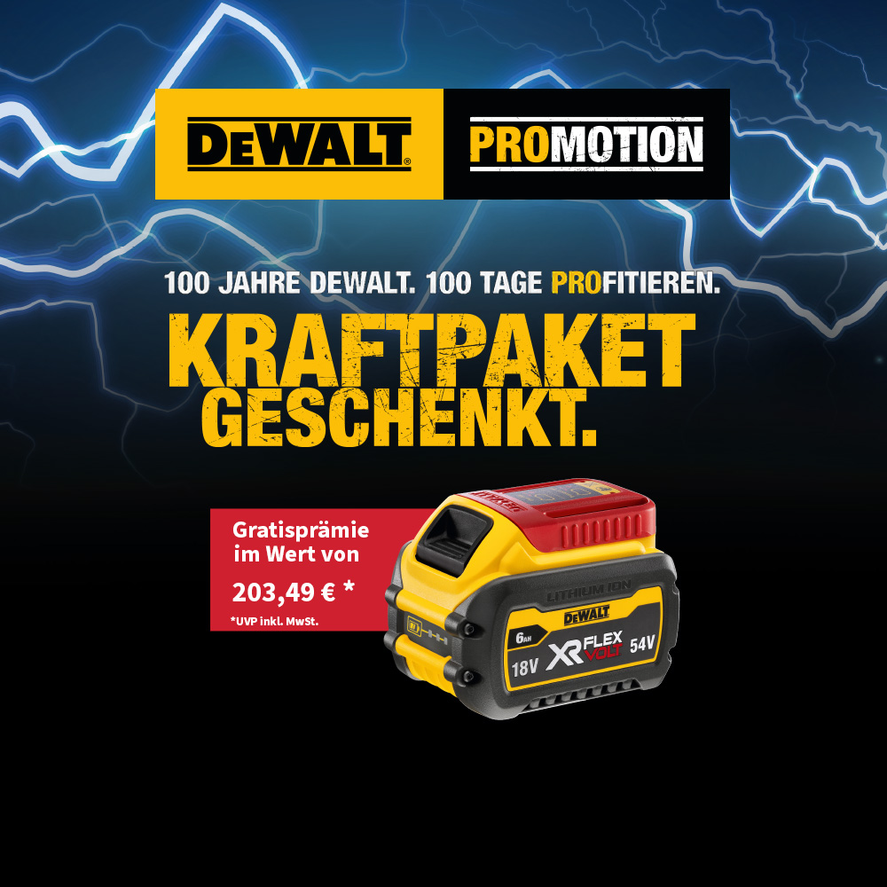 Dewalt Kraftpaket Aktion