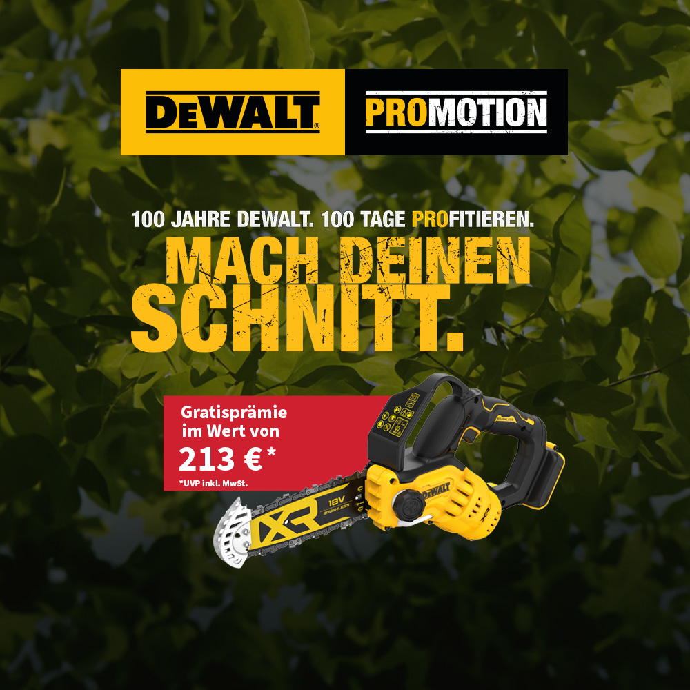 Dewalt Outdoor Aktion