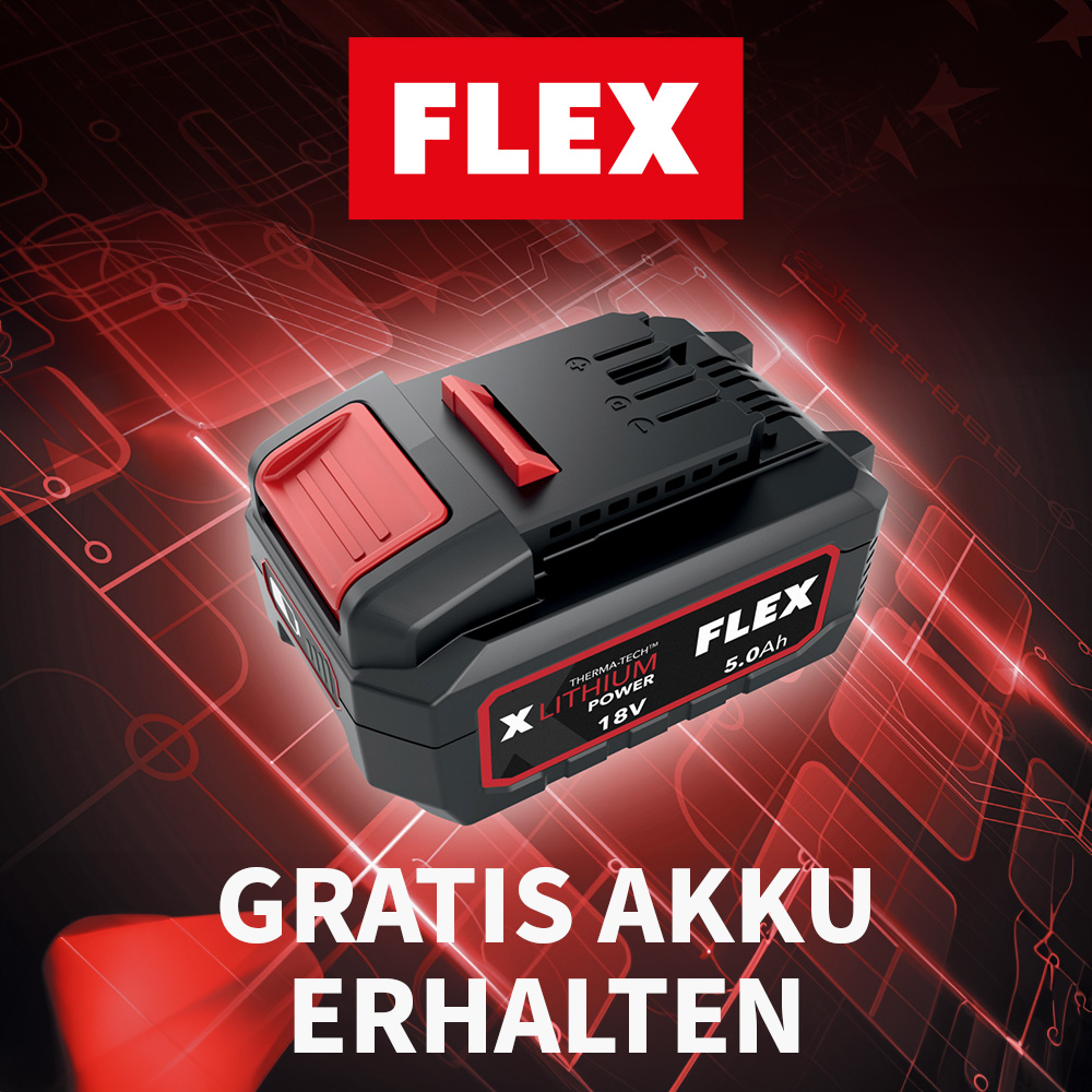 Flex Akku Aktion 2024