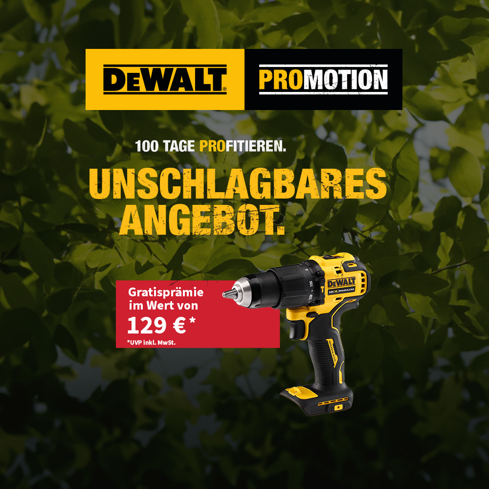 Dewalt Outdoor Aktion