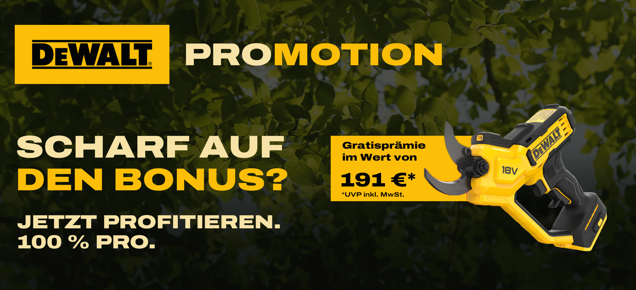 Dewalt Outdoor Aktion