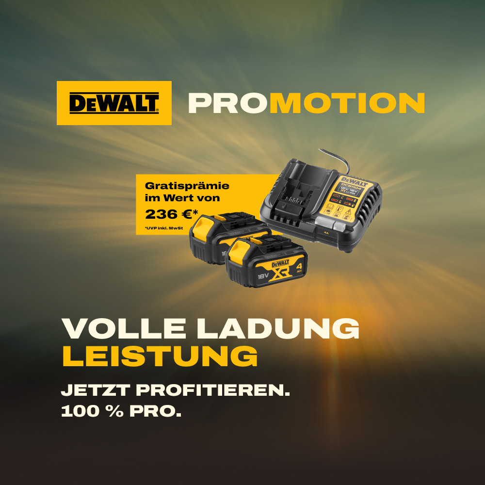 Dewalt Kraftpaket Aktion