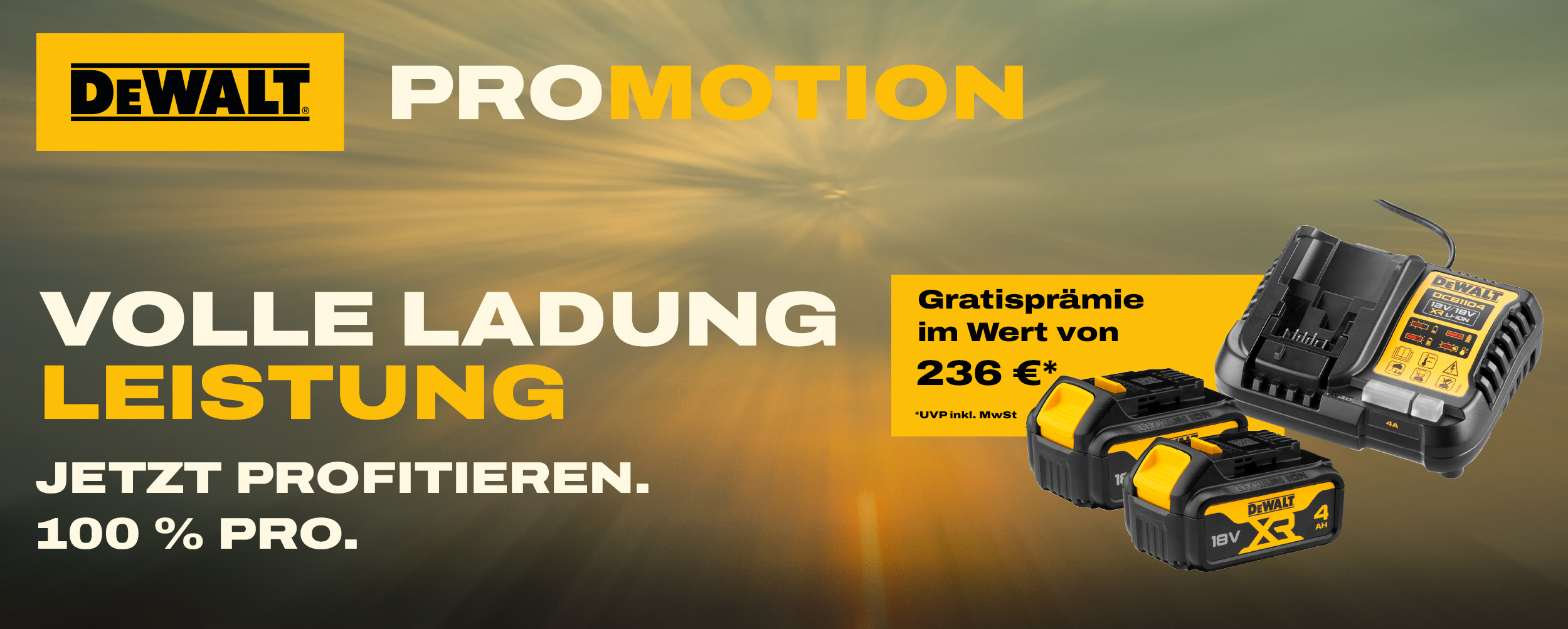 Dewalt Kraftpaket Aktion