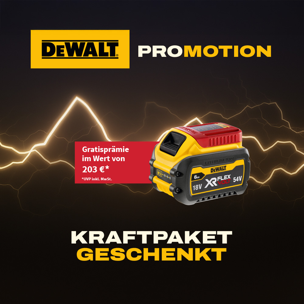 Dewalt Kraftpaket Aktion
