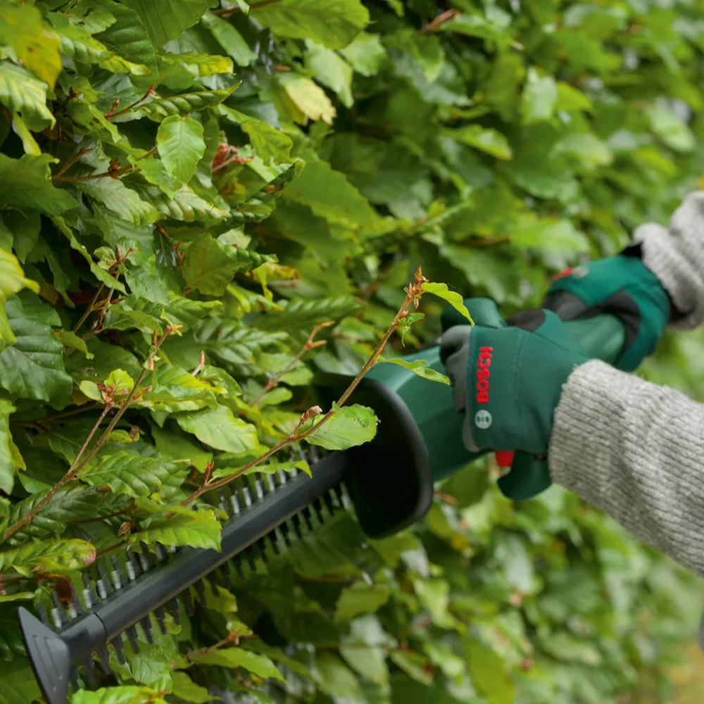 Hecken- & Strauchpflege